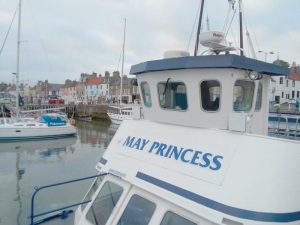 aiyon-abogados-embarcaciones-de-recreo